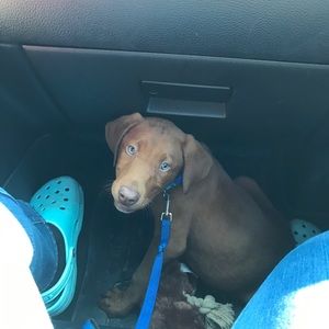 Meet your Posher, Nicole